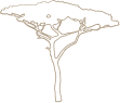 Árbol vectorial