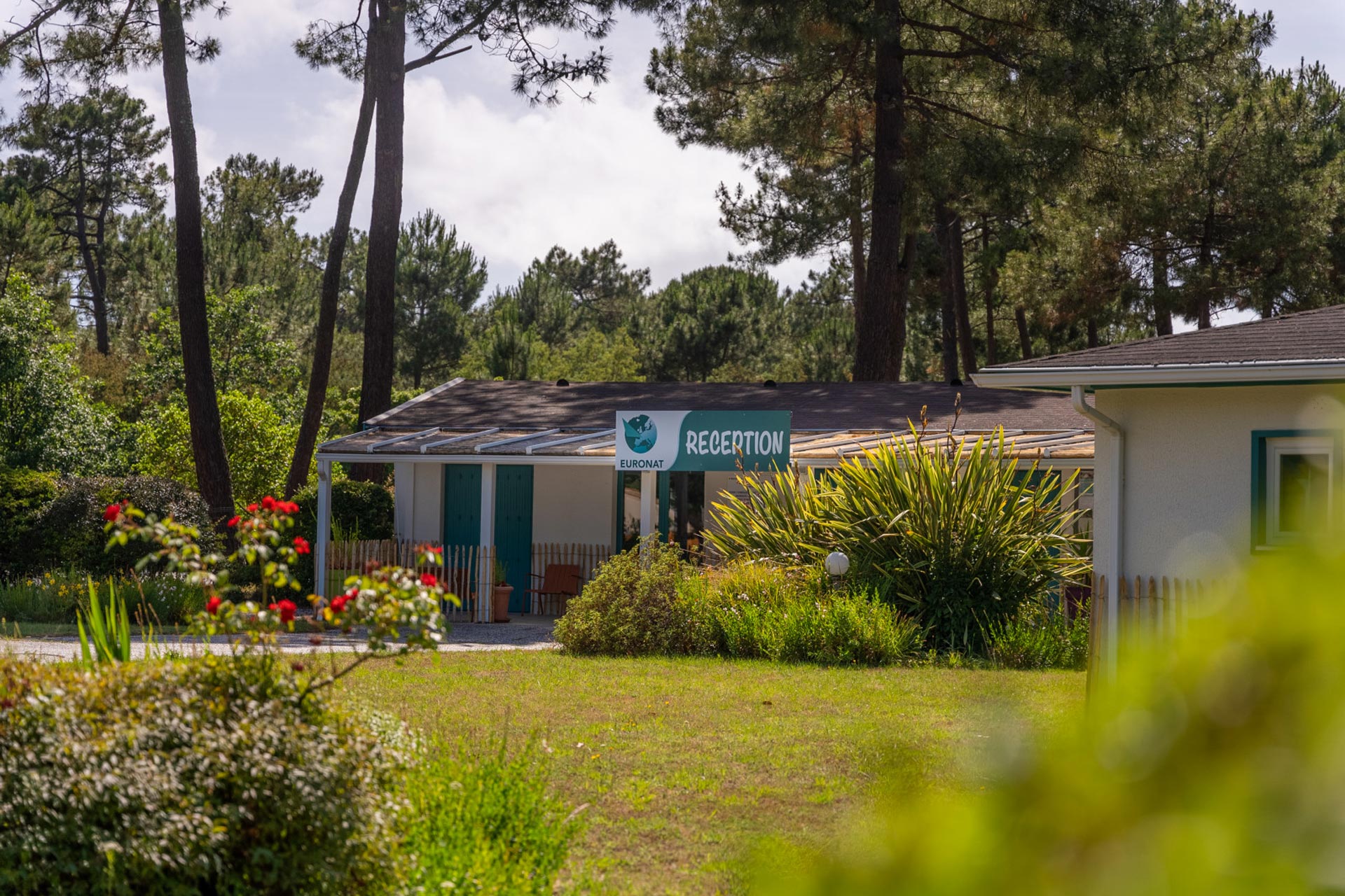 camping familiar naturista