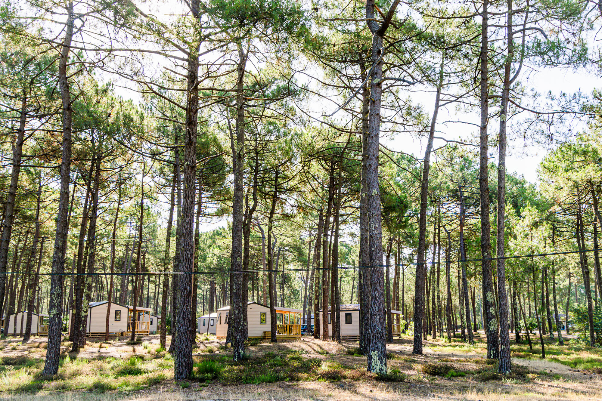FKK-Campingplatz Euronat Wald