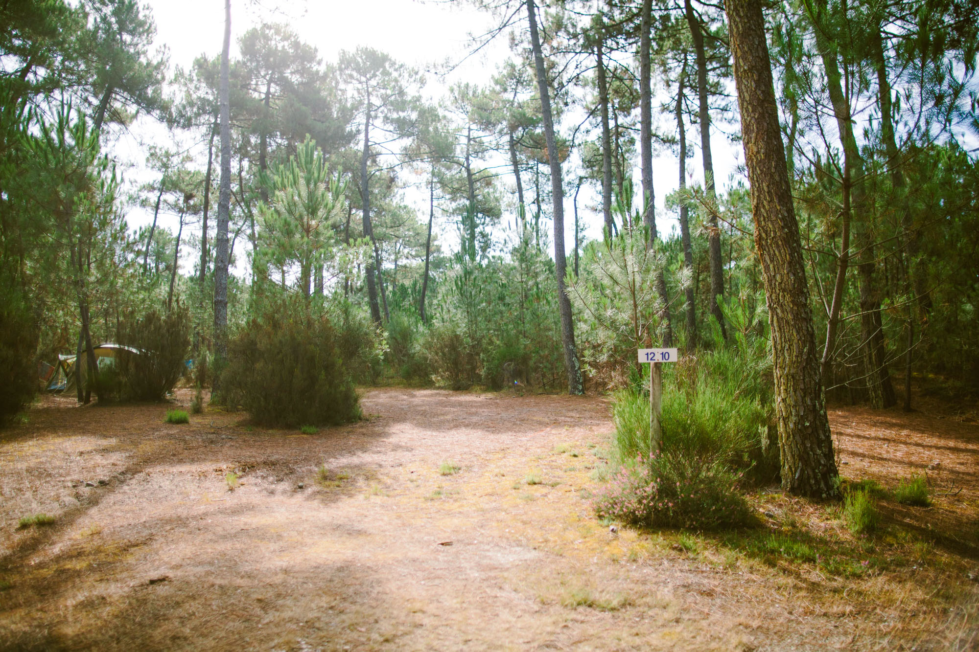 Euronat pitch rental