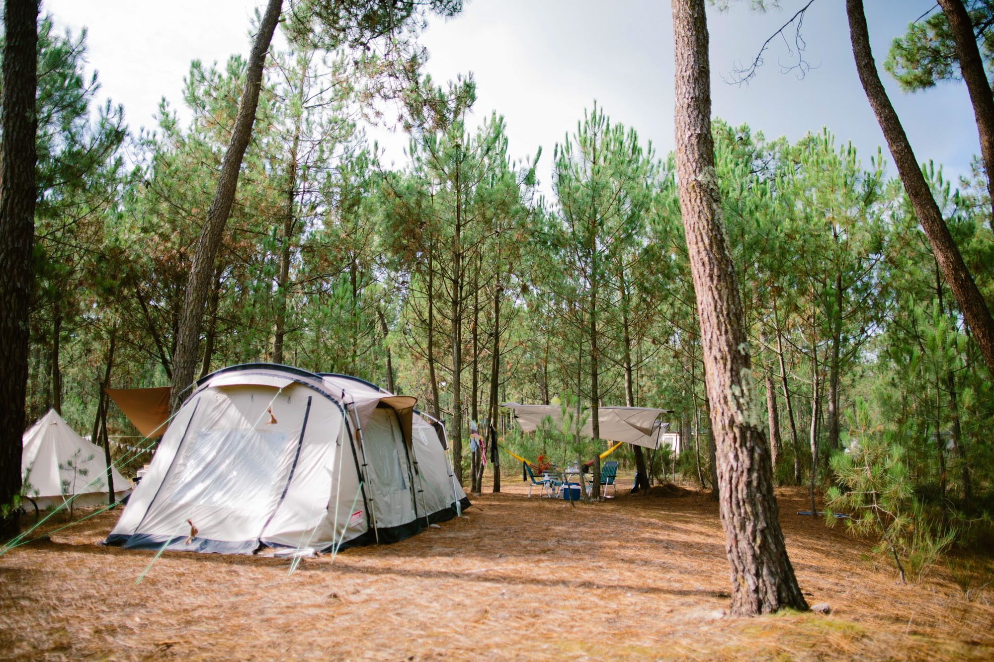 Euronat pitch rental