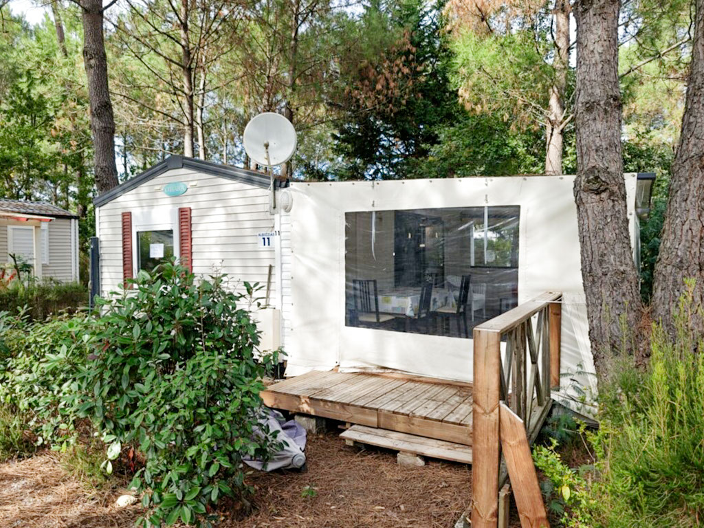 Euronatimmo 11 Albizzias entree